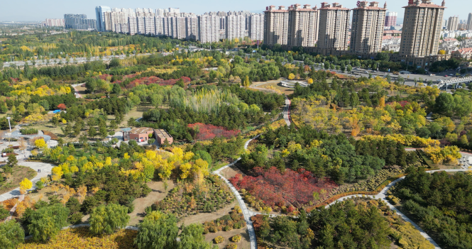 砥礪前行結(jié)碩果 平城發(fā)展譜新篇